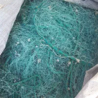 تور گاریزی+تور بیایی