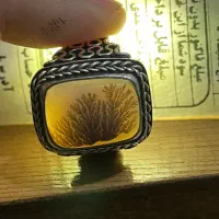 انگشتر شجر قائن