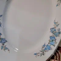 بشقاب خورشت خوری نو ۱۸ عدد