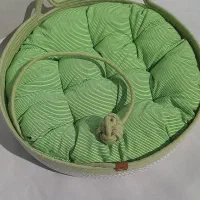 جای خواب گربه و سگ