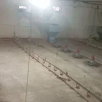 مرغداری ۴۰هزارتایی|فروش دفتر صنعتی، کشاورزی، تجاری|ابهر, |دیوار