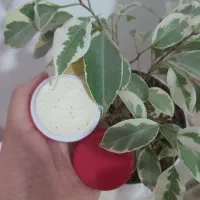 کرم معجزه اصل سر ۵ روز استفاده متوجه تغییر میشین