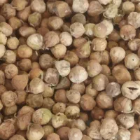 انجیر|خوردنی و آشامیدنی|شیراز, بریجستون|دیوار