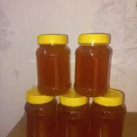 عسل درجه یک مرکبات و گون از تولید به مصرف|خوردنی و آشامیدنی|شیراز, چنچنه|دیوار