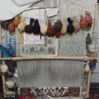 دار قالی زر نیم همراه با فرش نصفه