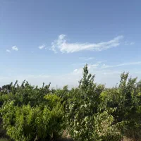 باغچه حصارصاتی شهریار