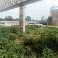 زمین شمال/بهر جاده بهشهر گرگان/مسکونی تجاری|فروش زمین و ملک کلنگی|گلوگاه, |دیوار