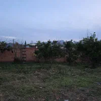 فروش-زمین-750-متری-داخل-بافت-در-سوادکوه-شیرگاه