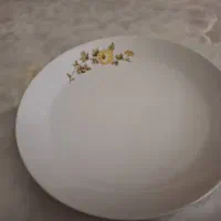 دیس های گرد پلویی