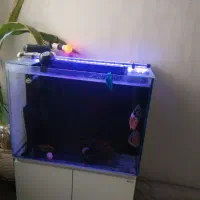 آکواریوم بک سامپ