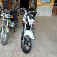 بنلی ۱۵۰  سالم و بنام