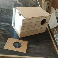 تولید لونه یا لانه عروس هلندی
