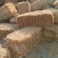 کاه پرس دارم   در جعفریه