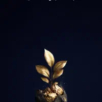 بیمه های طلایی سامان|خدمات مالی، حسابداری، بیمه|رشت, چله خانه|دیوار