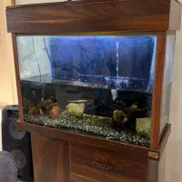 آکواریوم با تمامی تجهیزات فقط ۱۰ میلیون تومان