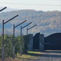 همین الان متری دو میلیون سود تو جیبته(فروش فوری)|فروش زمین و ملک کلنگی|نور, |دیوار