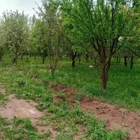 باغ ویلایی
