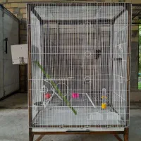 قفس پرنده مناسب برای تمامی پرندگان