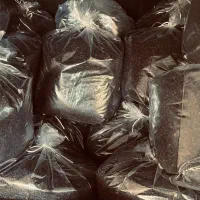 چای ممتاز شکسته لاهیجان