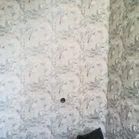 نصاب کاغذ دیواری|خدمات پیشه و مهارت|شیراز, تاچارا|دیوار