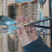 قاشق چنگال ۲۴نفره رزنتال