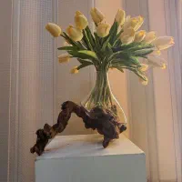 هدیه ی چشم گیر