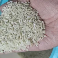 برنج چمپا یاسوج