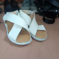 کتانی و کالج و مجلسی و....