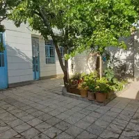 سوئیت مهدوی