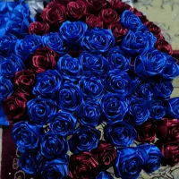 قبول سفارش انواع گل رز جاودانه بصورت تک و عمده