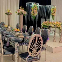 صندلیcnc/تالار هتل