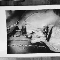 آموزش نقاشی از مبتدی تا حرفه ای با اعطای مدرک|خدمات آموزشی|قم, حاج زینل|دیوار