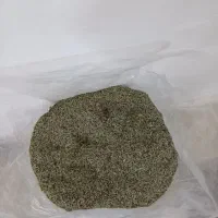 نعناع کوهی
