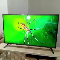 تلویزیون ال ای دی ۴۳ اینچ الجی در حد نو