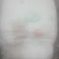 پوشک هانیز دونه ۸ تومن