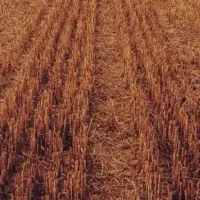 فروش زمین تجاری و زراعی