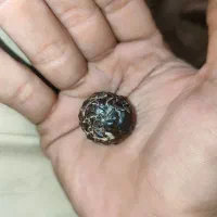 فروشی شهاب سنگ