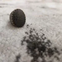 انگشترنقره موکل دار|جواهرات|بندر گناوه, |دیوار