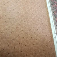 موکت پالاز وگلیم فرش وپادری