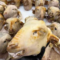 قلم وپاچه گوساله|خوردنی و آشامیدنی|اهواز, فاز ۱ پادادشهر|دیوار