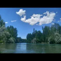 خرید فروش  اجاره سویت باغ ویلا.... املاک