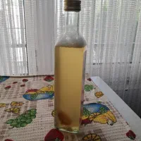 چای کامبوجا