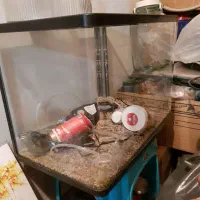 آکواریوم شیشه خم