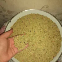 عدسی ناب