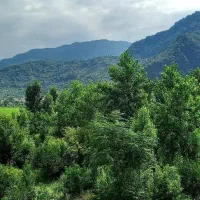 سوئیت چشم انداز نزدیک ساحل و کنار تلکابین