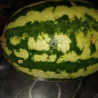 ۶میلیون کالابرگ پنج و۵۰۰ به علت کرایه خانه