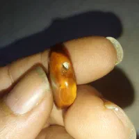 مهره قدیمی|کلکسیون اشیاء عتیقه|شیراز, سینما سعدی|دیوار