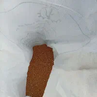 بذر گندم آرامش|گل و گیاه طبیعی|پارس‌آباد, |دیوار