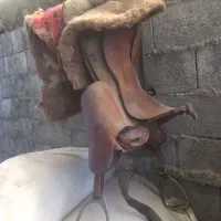 زین چرب اسل درحدنو