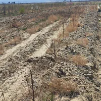 زمین حاشیه جاده/تهاتر /معاوضه|فروش زمین و ملک کلنگی|گلبهار, نوبهار|دیوار